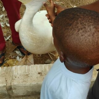 activites_et_camp_de_vacance_21