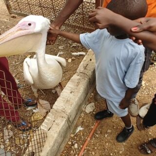 activites_et_camp_de_vacance_23