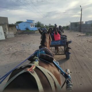 activites_et_camp_de_vacance_5